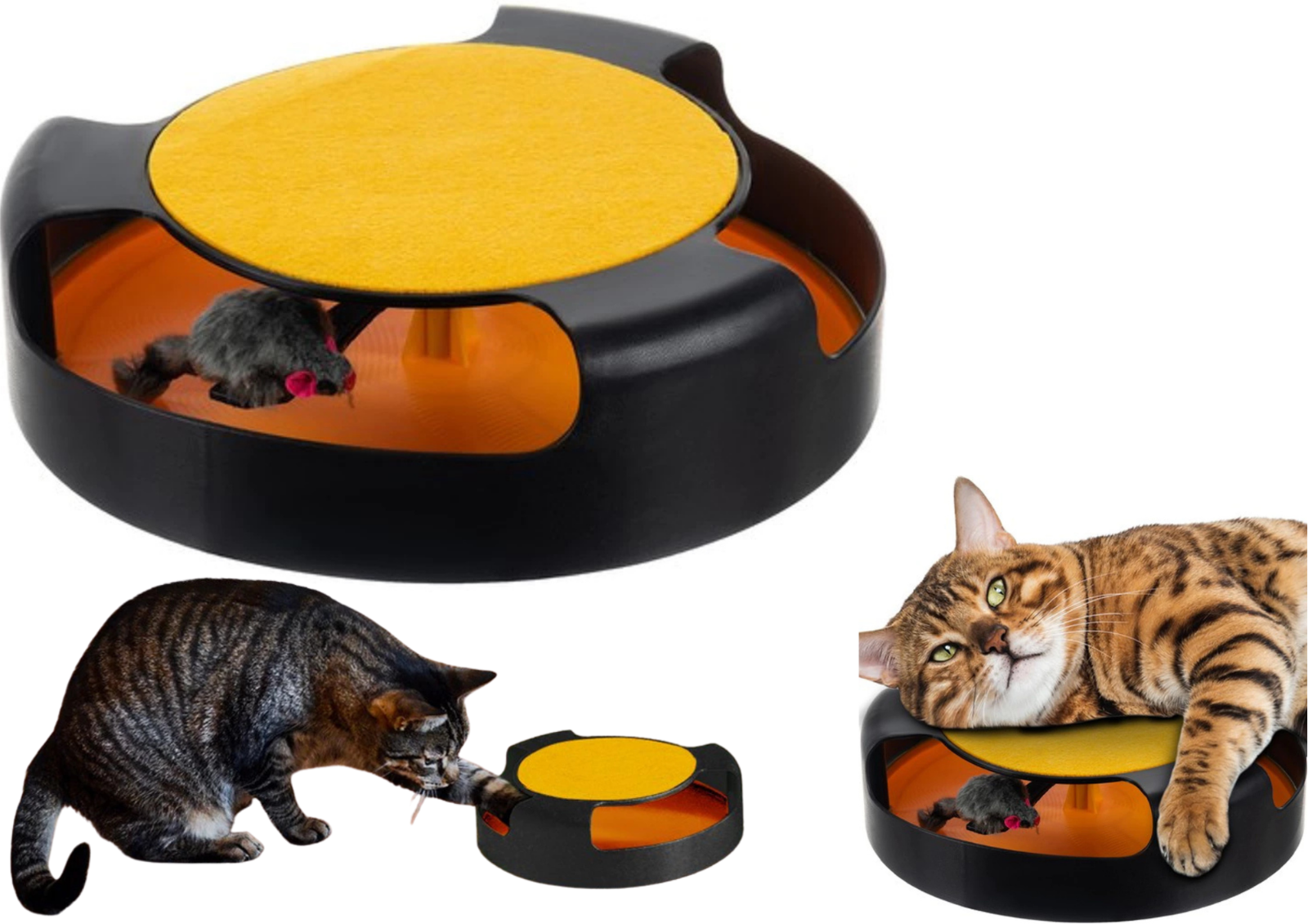 Katzenspielzeug mit Maus & Kratzmatte – Interaktiver Spielring für Katzen 🐾🐾🐾