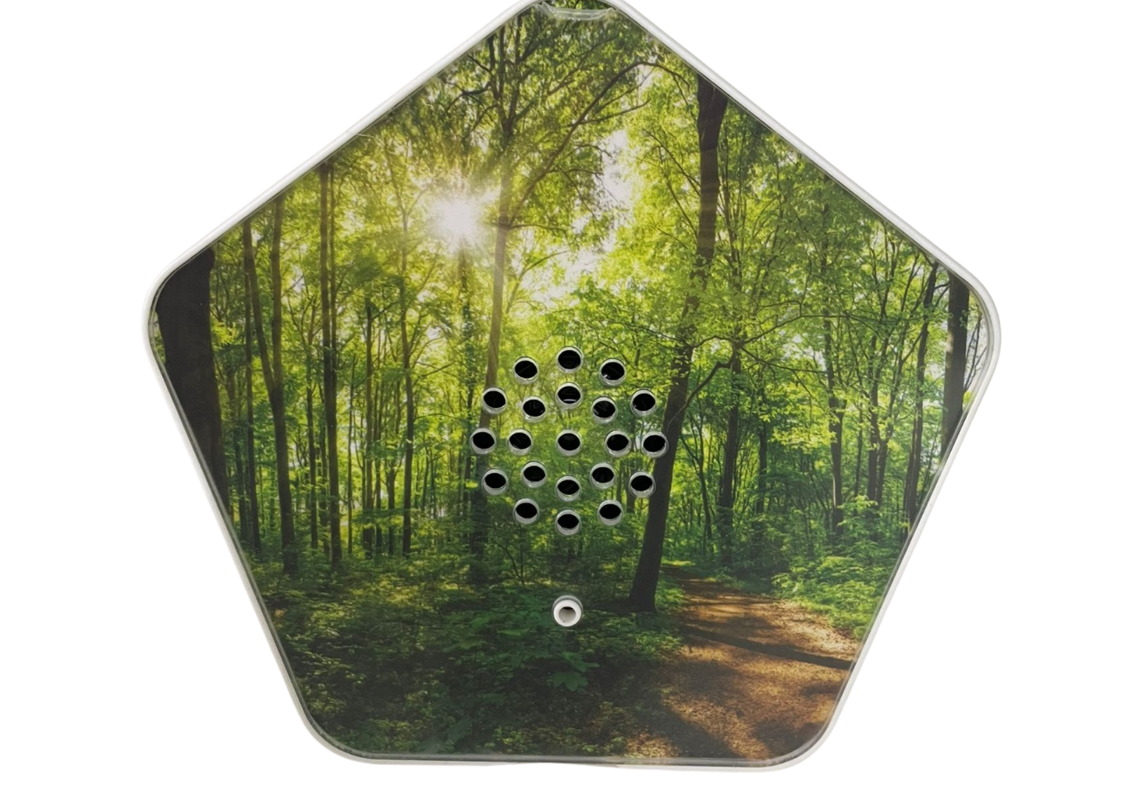 Sound of Nature Box – Naturklänge für Entspannung, mit Bewegungssensor & 12 Wechselbildern