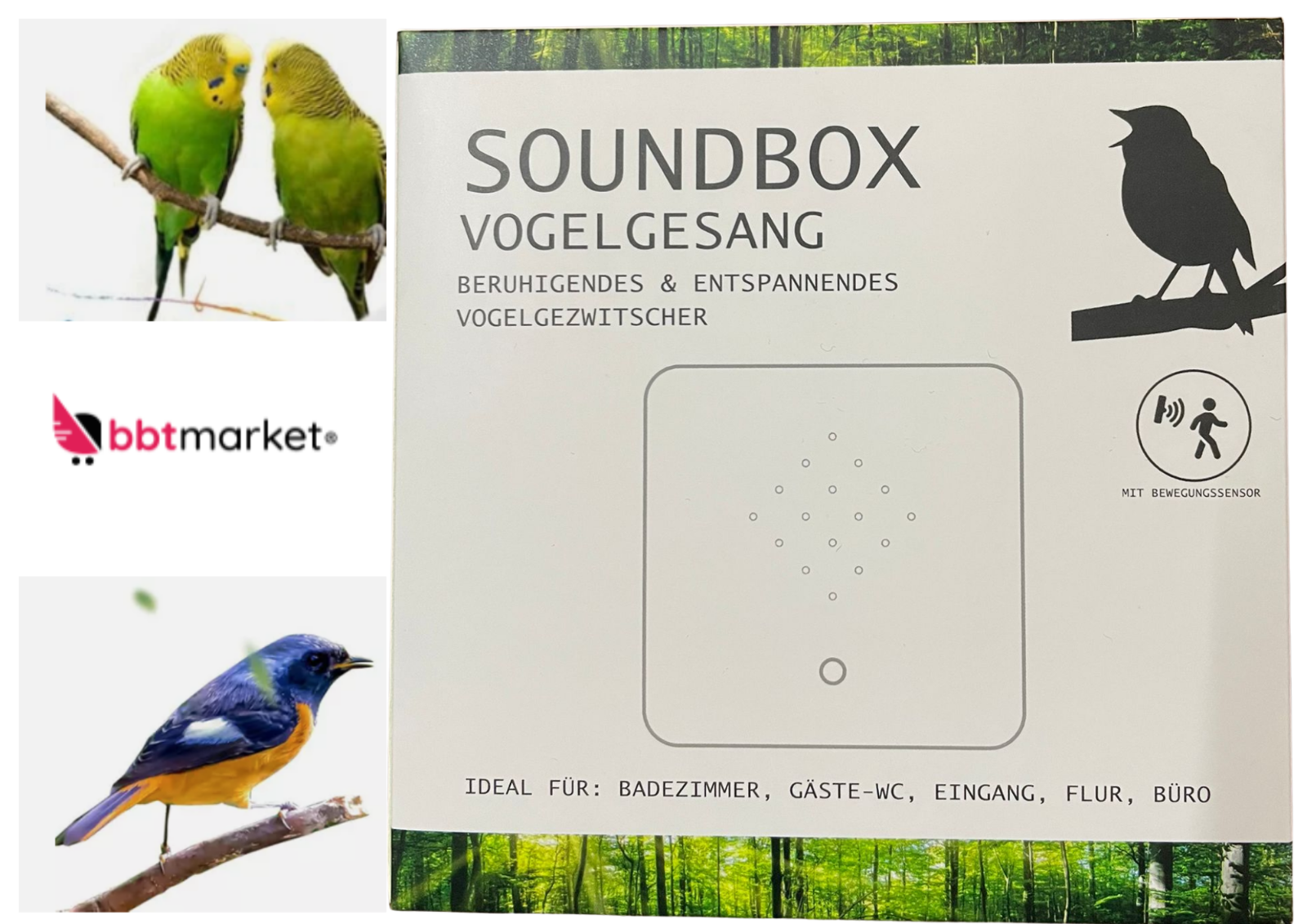 Soundbox Vogelgezwitscher mit Bewegungssensor – Beruhigender Vogelgesang für Bad, Flur & Büro