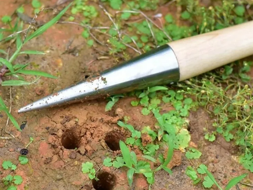 Pflanzdorn Blumenzwiebel Pflanzer Pflanzhilfe Holzgriff mit Skala Garten