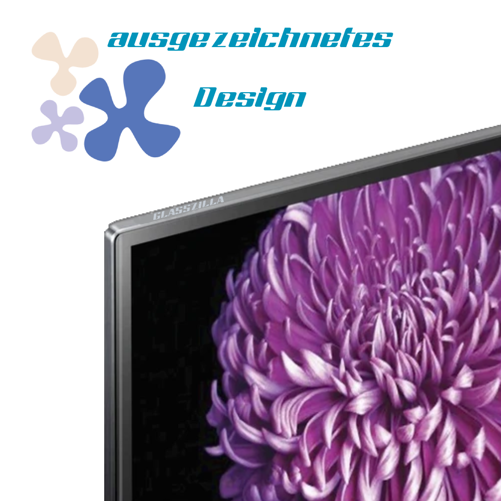 GlassZilla 65Zoll Fernseher Schutz/TV Bildschirmschutz /Displayschutz 3mm Acryl