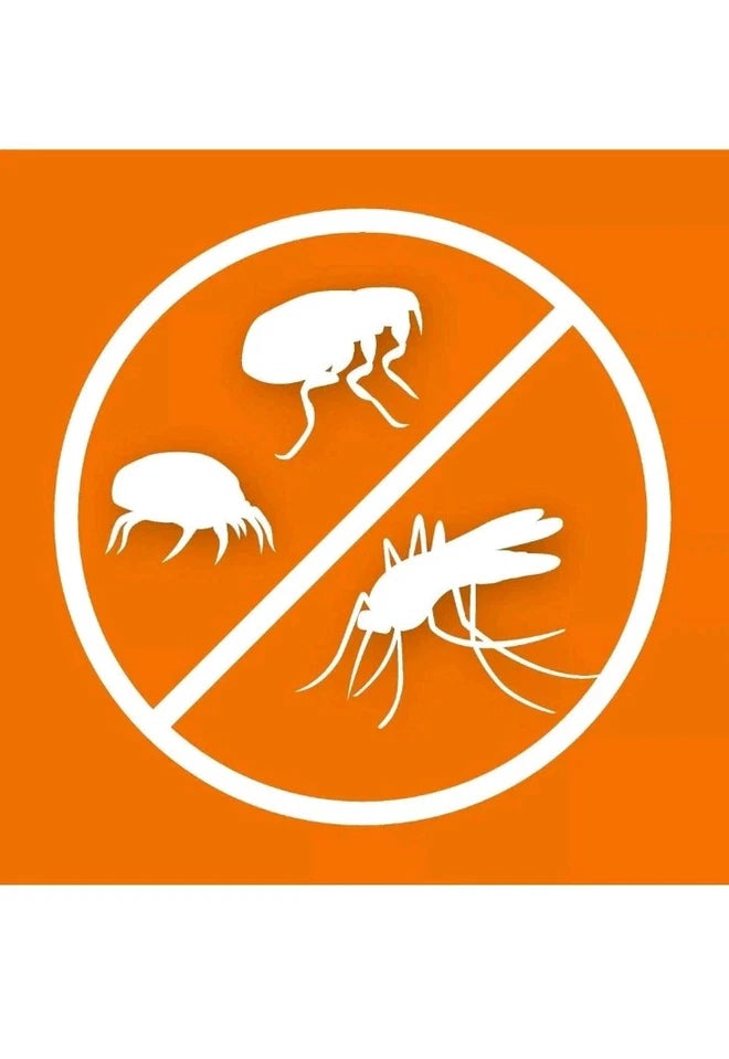 ARDAP Fogger Spray gegen Ungeziefer 2x100ml – Effektiver Insektenvernebler