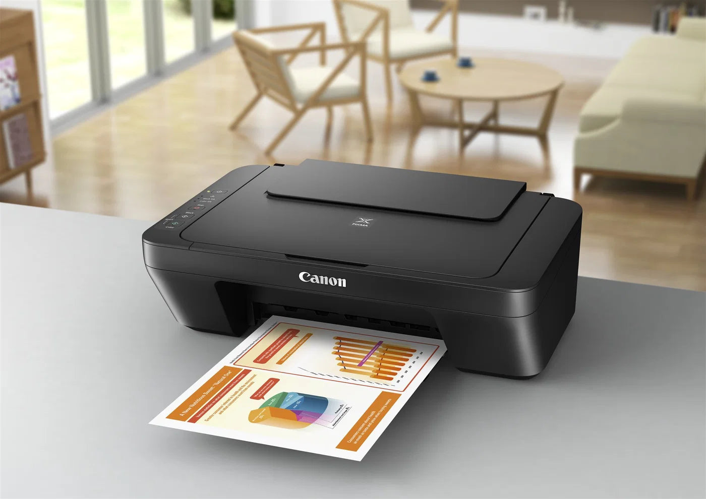 Canon PIXMA MG2556S Multifunktionsdrucker – A4 Farbdrucker, Scanner & Kopierer in Grau