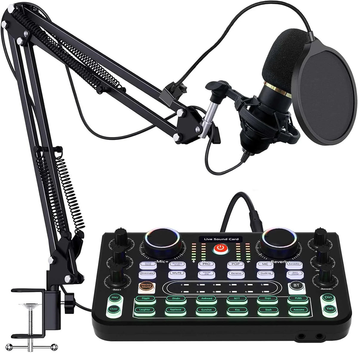 DJ Controller Set Soundkarte mit Mikrofon für PC Karaoke Podcast Streaming