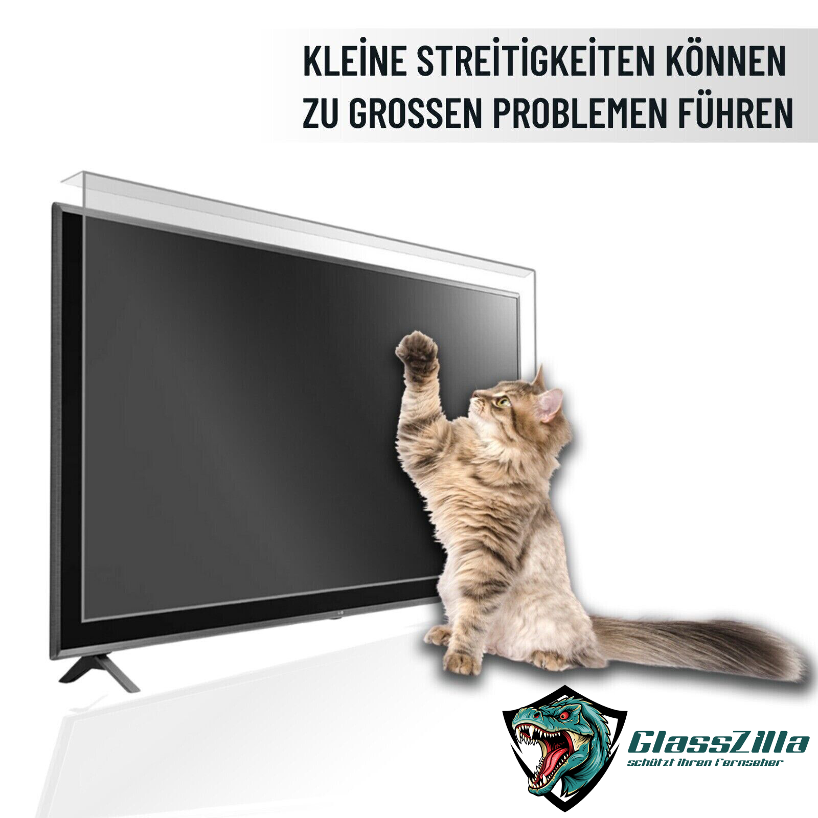 49 inch TV protector / TV screen protector / display protector / TVs 