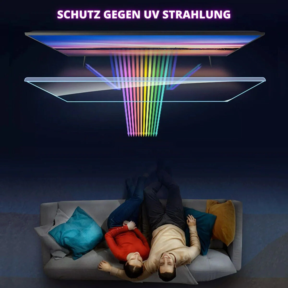 49 Zoll Fernseher Schutz / TV Bildschirmschutz / Displayschutz / TVs