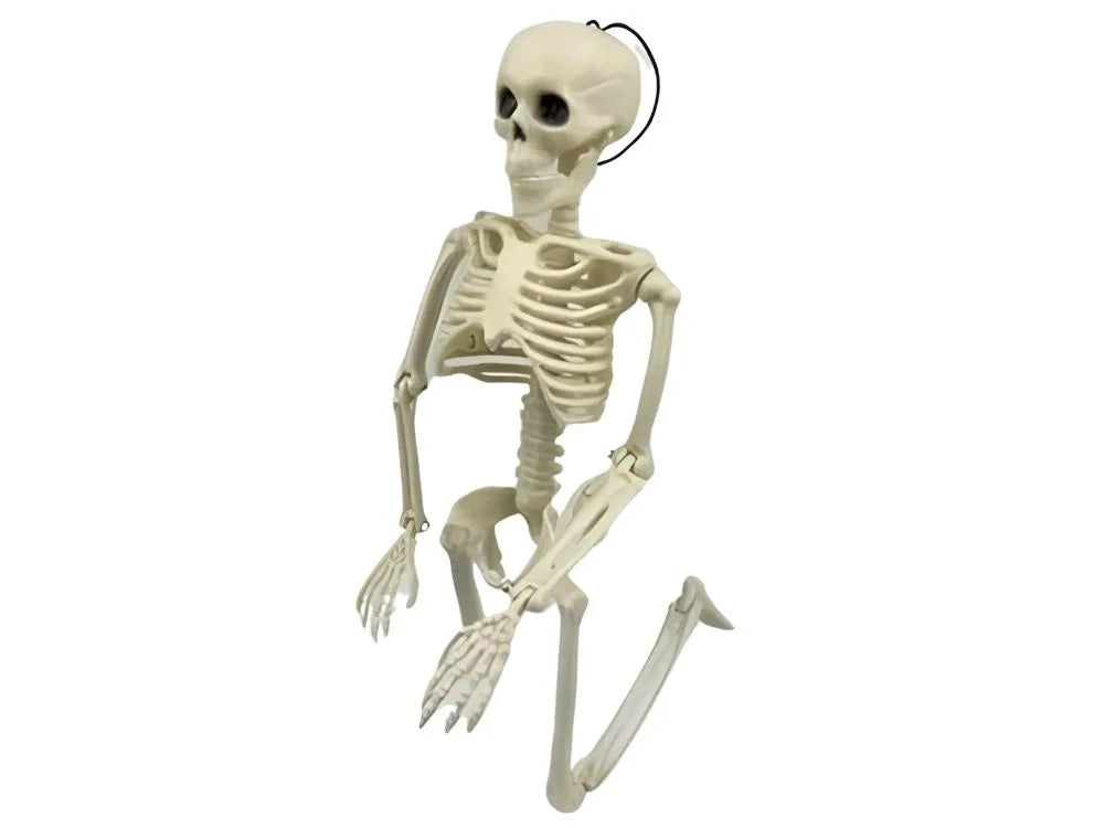 Halloween Deko 👻 Hängendes Menschliches Skelett 40cm Weiß Kunststoff 🎭  5900779956957