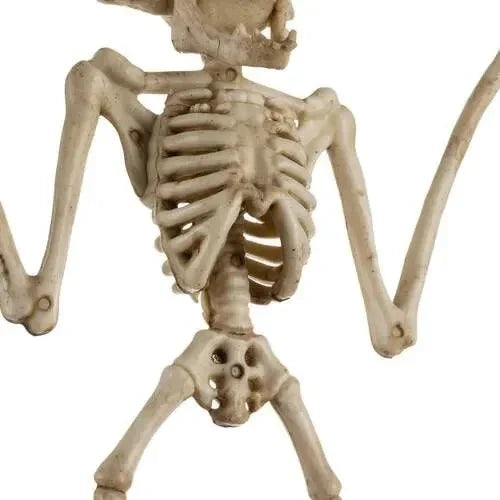 Halloween Fledermaus Skelett 30cm Hängend Beweglich Gruseldeko Horror Party Deko
