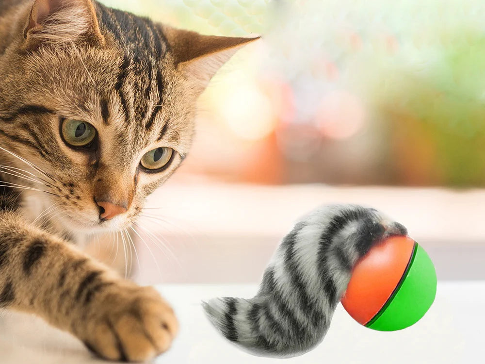 Interaktives Katzenspielzeug mit laufendem Ball und Frettchen – Bewegungsspielzeug für Katzen und Hunde