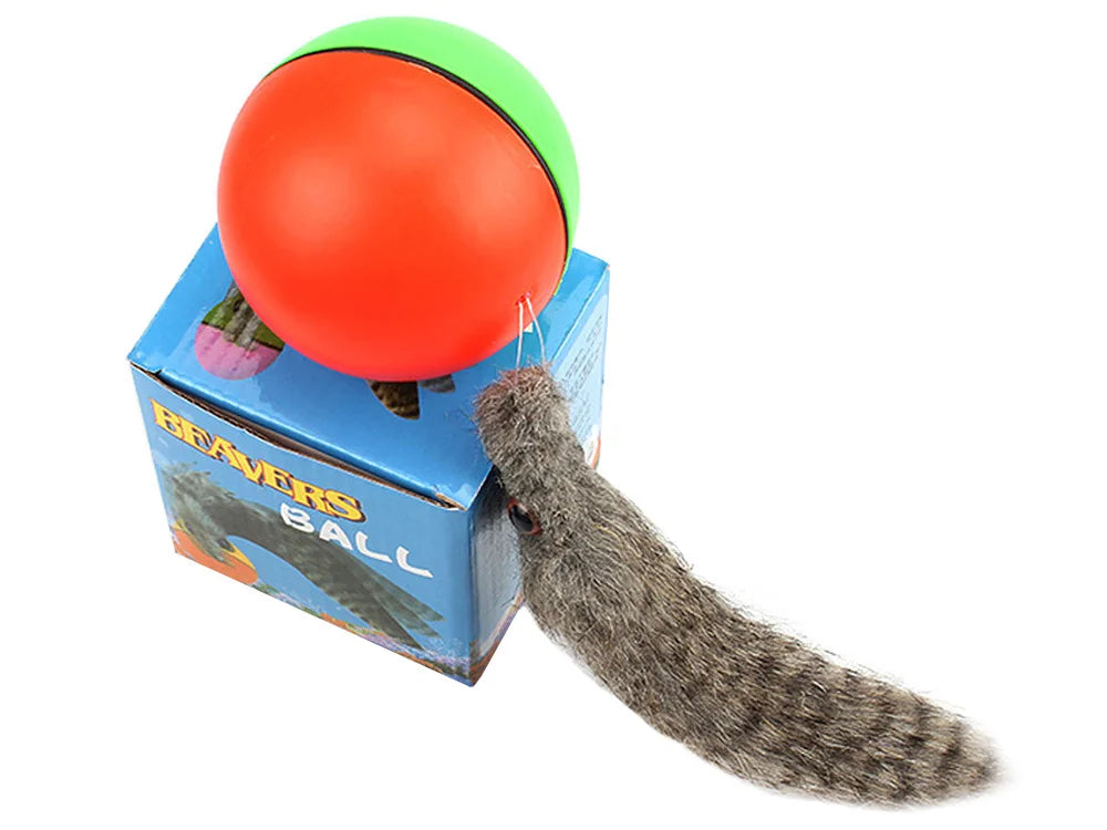 Interaktives Katzenspielzeug mit laufendem Ball und Frettchen – Bewegungsspielzeug für Katzen und Hunde
