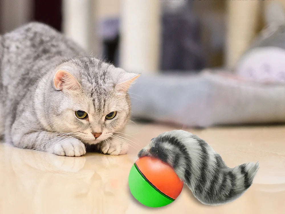 Interaktives Katzenspielzeug mit laufendem Ball und Frettchen – Bewegungsspielzeug für Katzen und Hunde