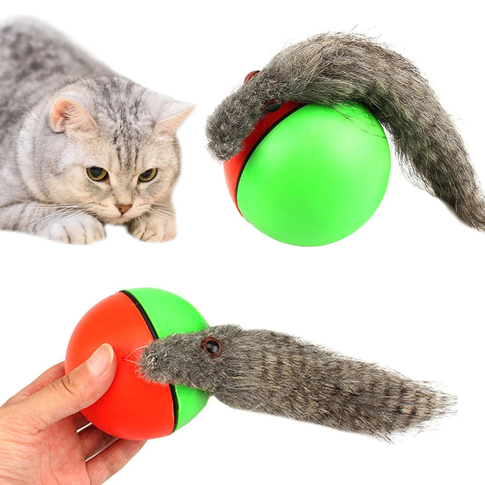 Interaktives Katzenspielzeug mit laufendem Ball und Frettchen – Bewegungsspielzeug für Katzen und Hunde