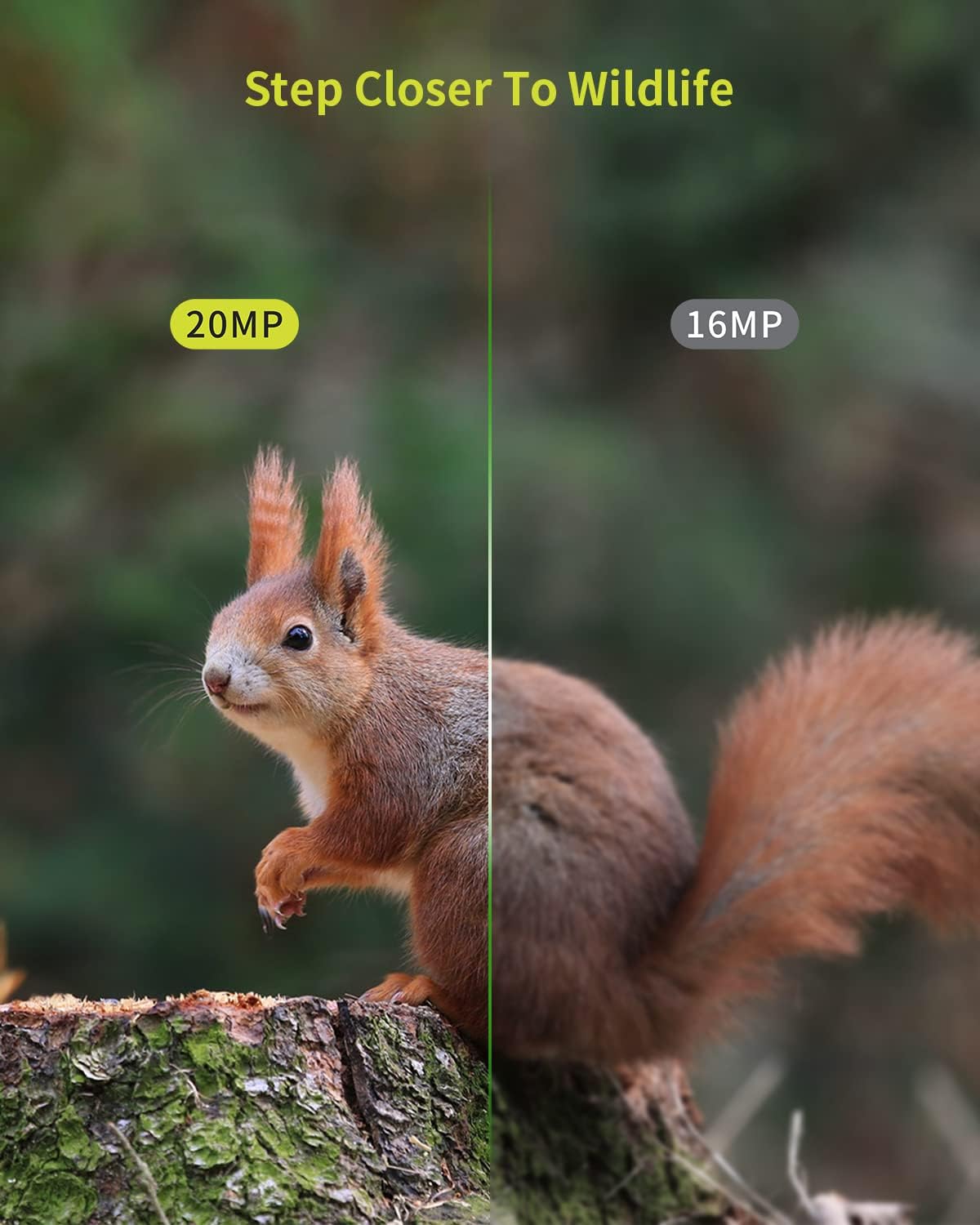 20MP Wildkamera mit 1080P HD, IP66 Wasserschutz, Nachtsicht & Bewegungssensor