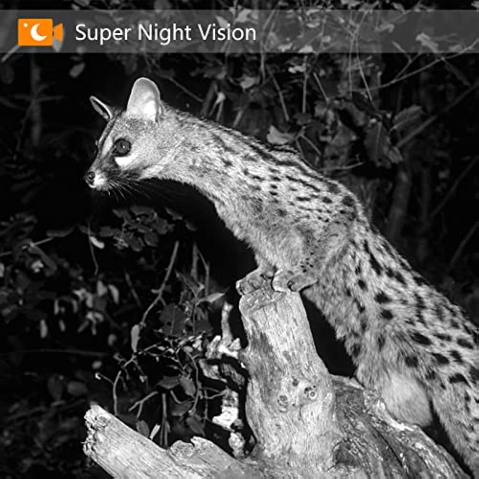 Jagdkamera Kamera Nachtsicht 20Mp Überwachungskamera Wildkamera 1080P HD 940nm