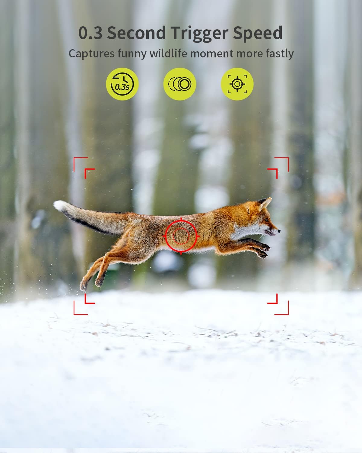 20MP Wildkamera mit 1080P HD, IP66 Wasserschutz, Nachtsicht & Bewegungssensor