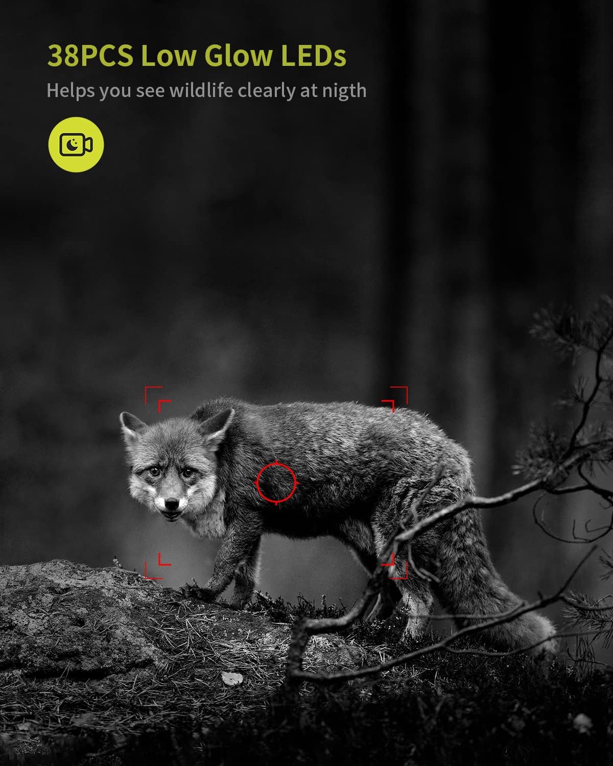 Hunting Camera Night Vision 20Mp Surveillance Camera Wildlife Camera 1080P HD 940nm 