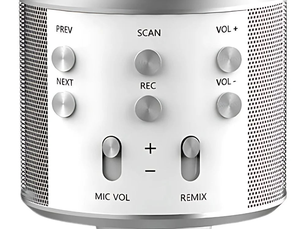 Kabelloses Bluetooth Karaoke Mikrofon mit Lautsprecher – Echo, Stimmeffekte, Aufnahmefunktion & Etui