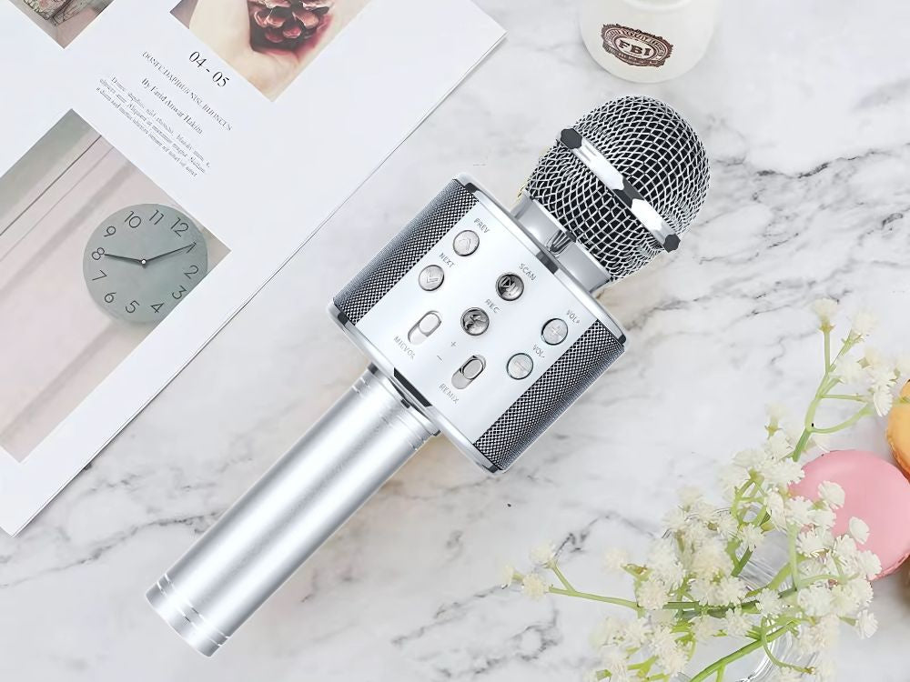 Kabelloses Bluetooth Karaoke Mikrofon mit Lautsprecher – Rund, mit Etui