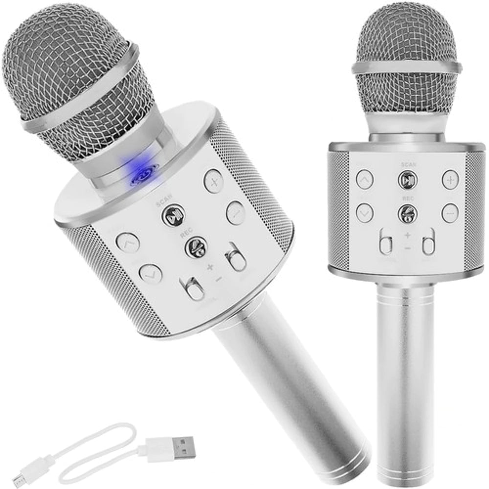 Professionelles Mikrofon Karaoke Bluetooth Handmikrofon Lautsprecher Wireless