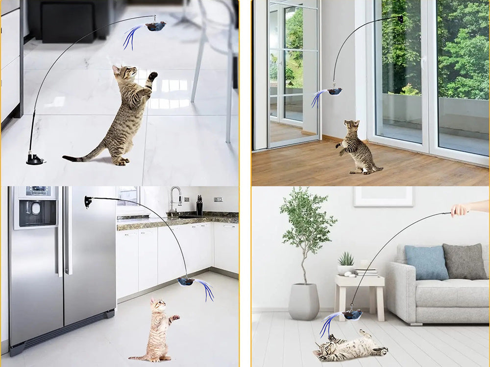 Katzenspielzeug Vogel mit Saugnapf & Angel – Interaktiv & Feder-Spielspaß 🐾🐾🐾