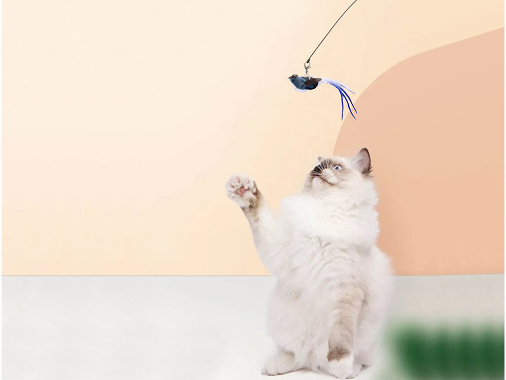 Katzenspielzeug Vogel mit Saugnapf & Angel – Interaktiv & Feder-Spielspaß 🐾🐾🐾