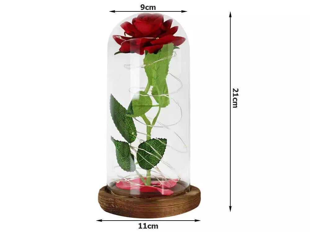 LED Ewige Rose im Glas für Frauen Geburtstag Schöne Biest Valentinstag Geschenk - NEU