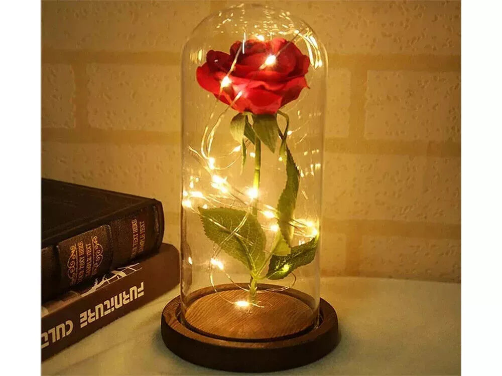 LED Ewige Rose im Glas für Frauen Geburtstag Schöne Biest Valentinstag Geschenk - NEU