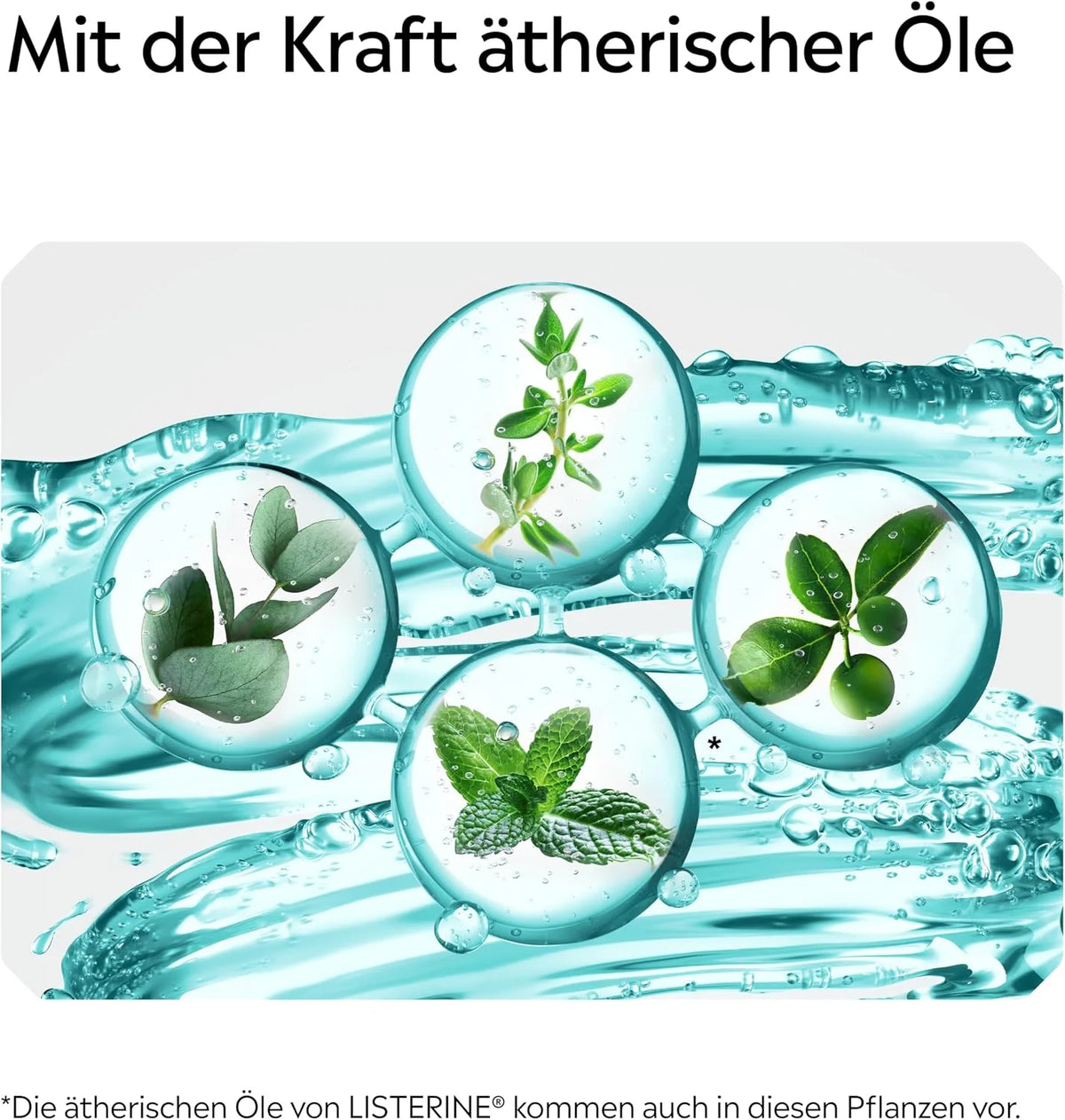 Listerine Cool Mint Mild 500 ml – antibakterielle alkoholfreie Mundspülung mit ätherischen Ölen & mildem Minzgeschmack