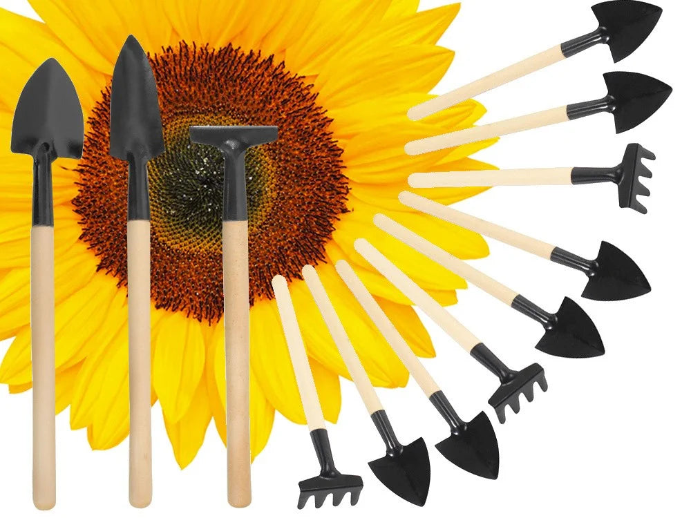 Mini Gartenwerkzeug Set 3tlg Schaufel Rechen Spaten Topfpflanzen Umtopfen🌱🌻