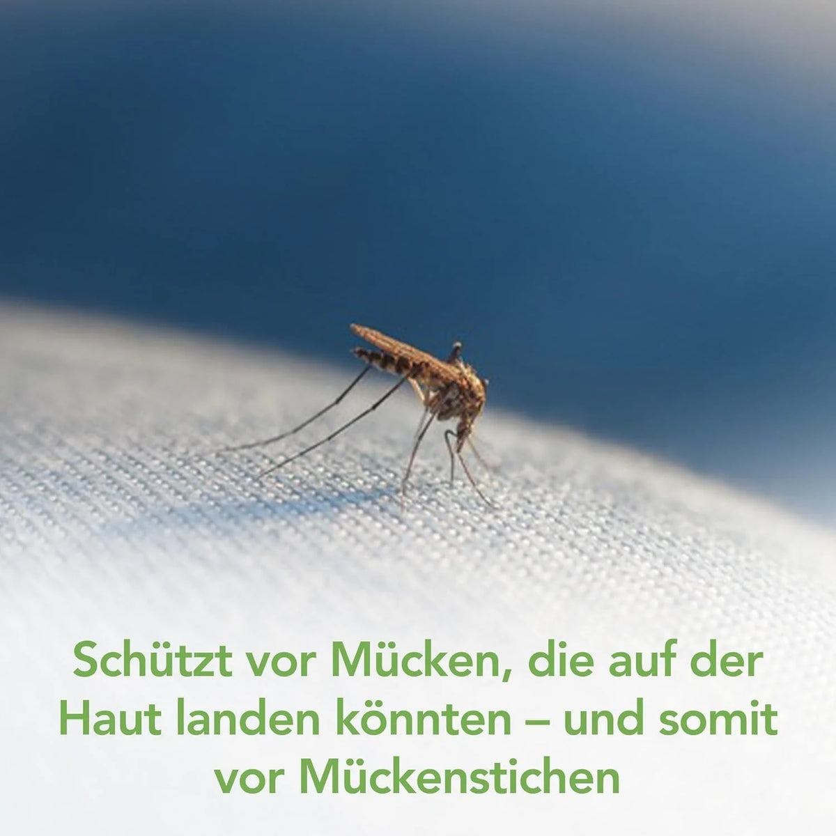 Raid Essentials Mückenspray 300ml Pflanzlich Geruchsfrei Innenraum 4h Schutz