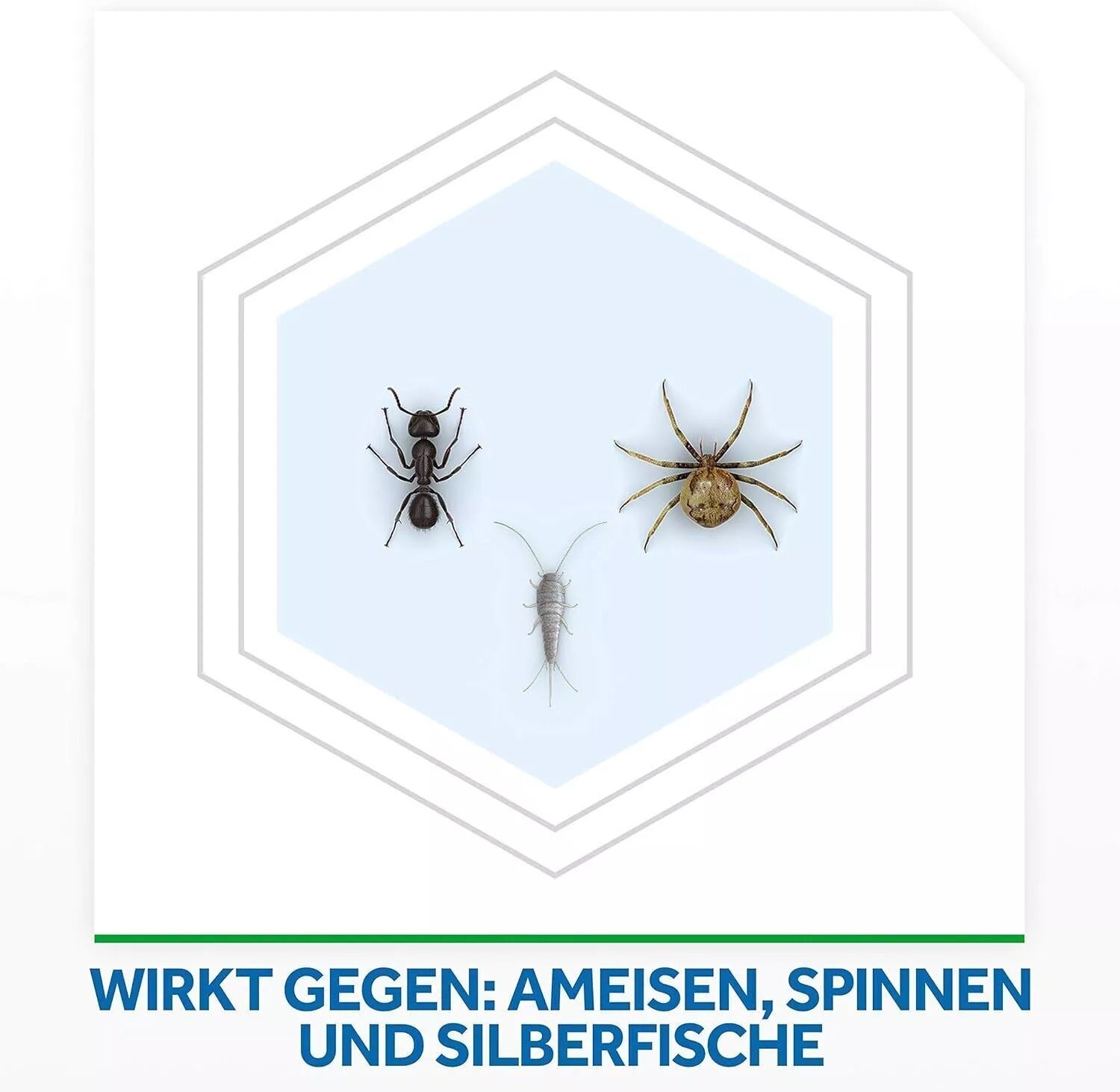 Raid Rastreros Insektizid-Insektenspray Insektenschutz Spinne Ammeise 400 ml V
