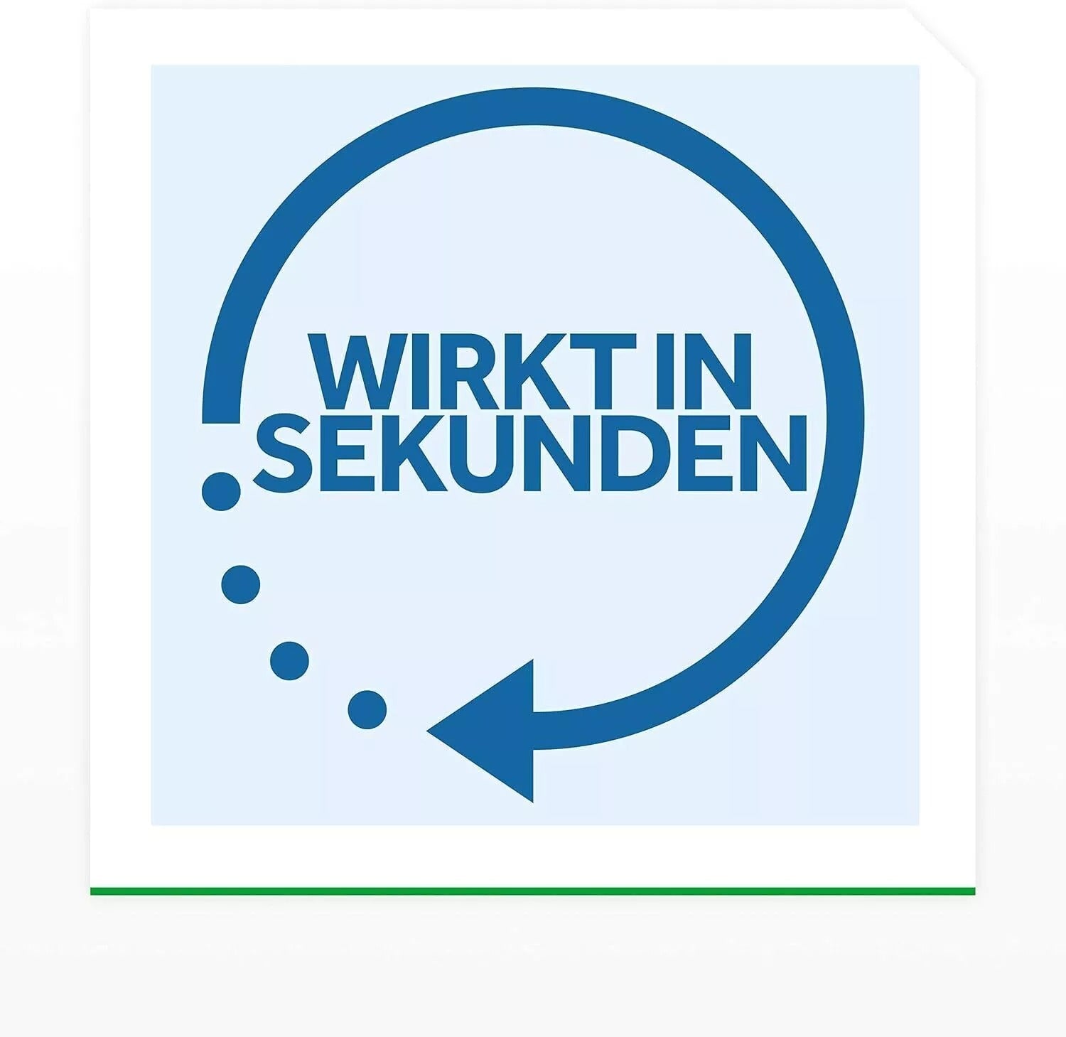 Raid Rastreros Insektizid-Insektenspray Insektenschutz Spinne Ammeise 400 ml V