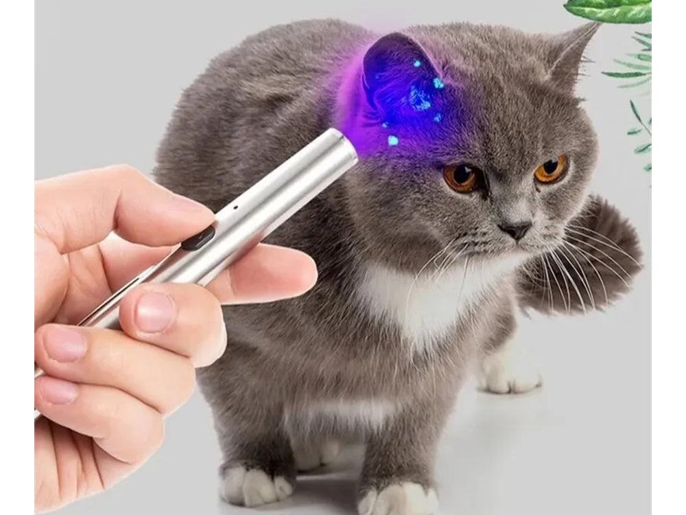Mini UV flashlight with 9 LEDs for ultra violet black light money urine (black) 