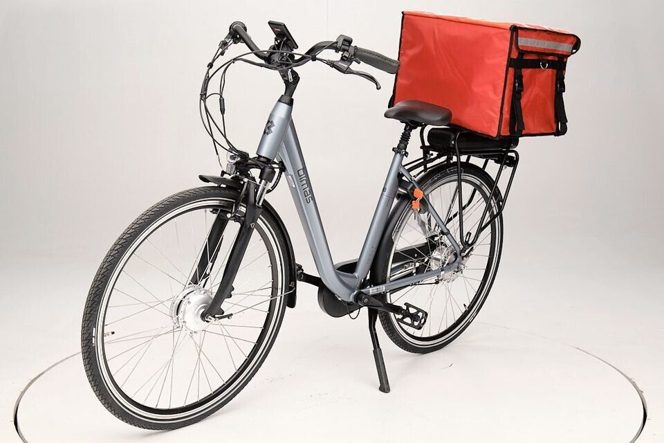 28 Zoll E-Bike E-City Elektrofahrrad  Speedbox 250W Pedelec Bronzegrau Elektro