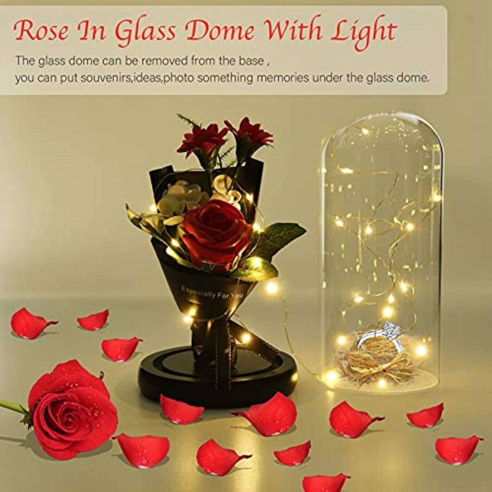 LED Die Schöne und das Biest Ewige Rose im Glas Geburtstagsgeschenk Valentinstag